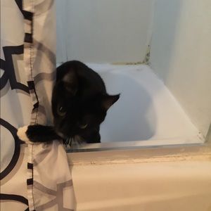 Meet your Posher, Luis